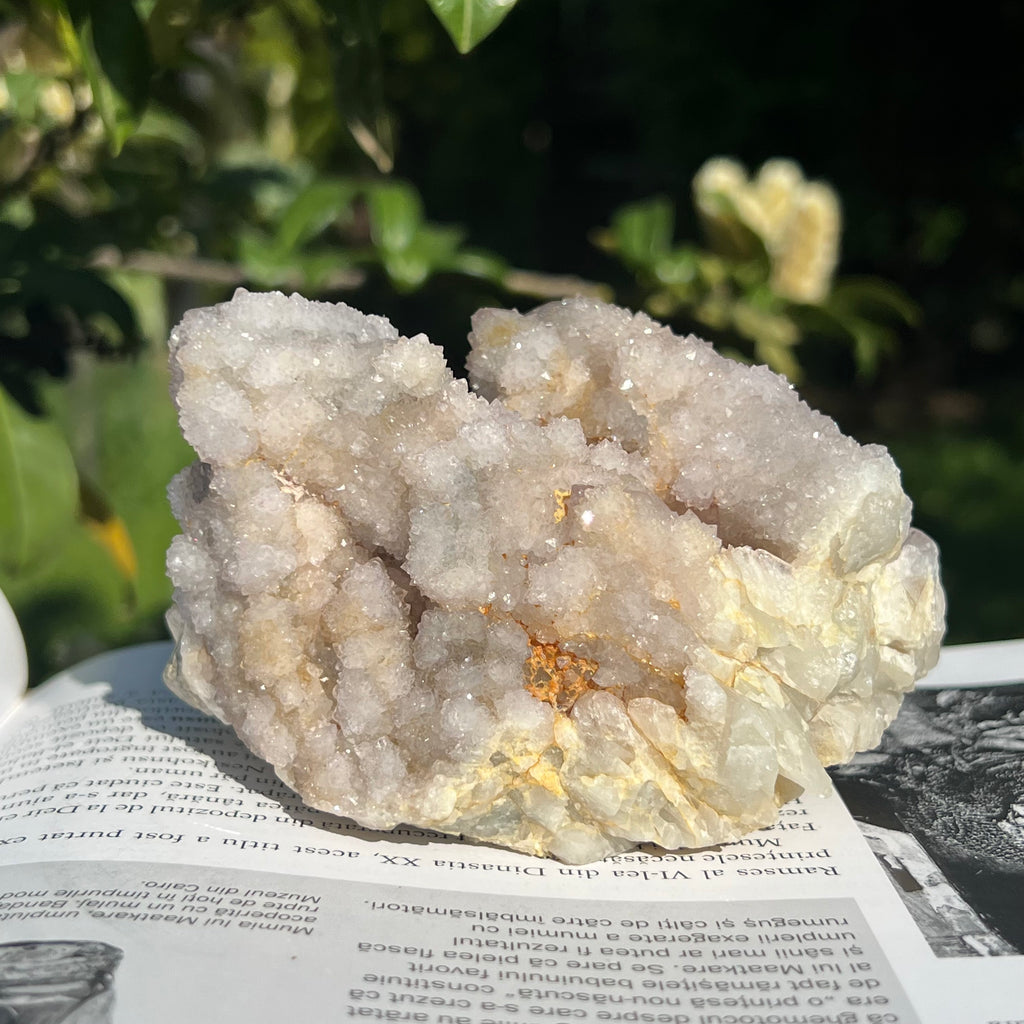 Cluster cuart cactus / cuart spirit model 18, druzy.ro, cristale 5