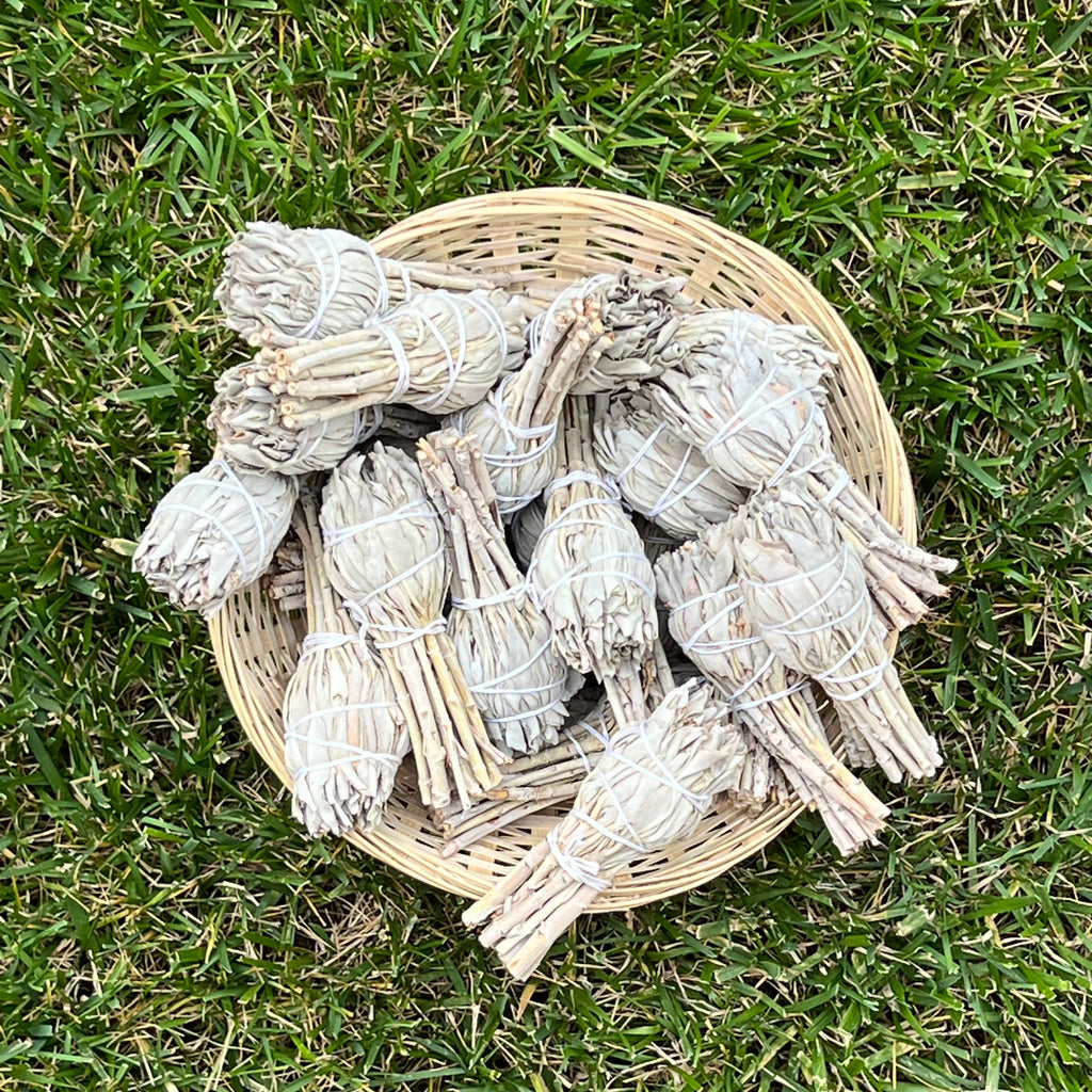 Buchet Salvie Alba Torta 12 * 4 cm White Sage, druzy.ro 5
