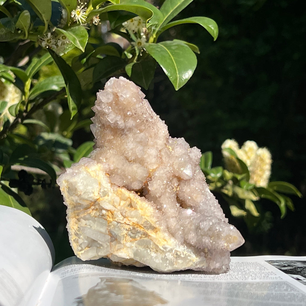 Cluster cuart cactus / cuart spirit model 15, druzy.ro, cristale 7