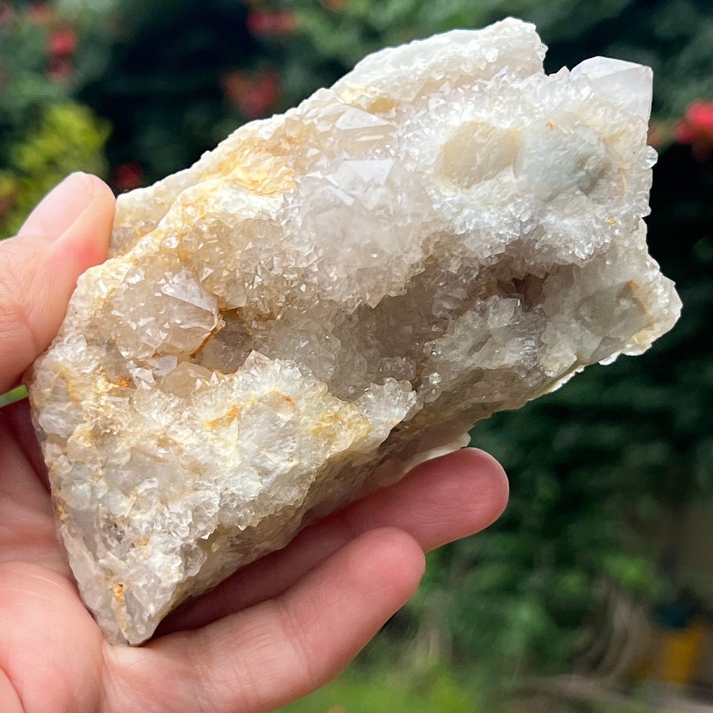 Cluster cuart cactus / cuart spirit model 17, druzy.ro, cristale 3
