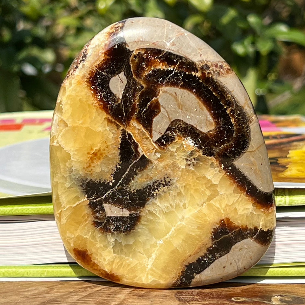 Felie septaria m8, druzy.ro, cristale 1