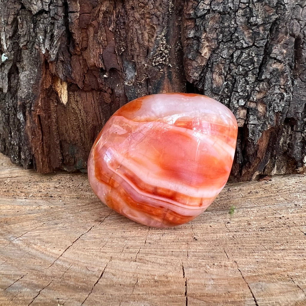 Palmstone carneol m3, druzy.ro, cristale 1
