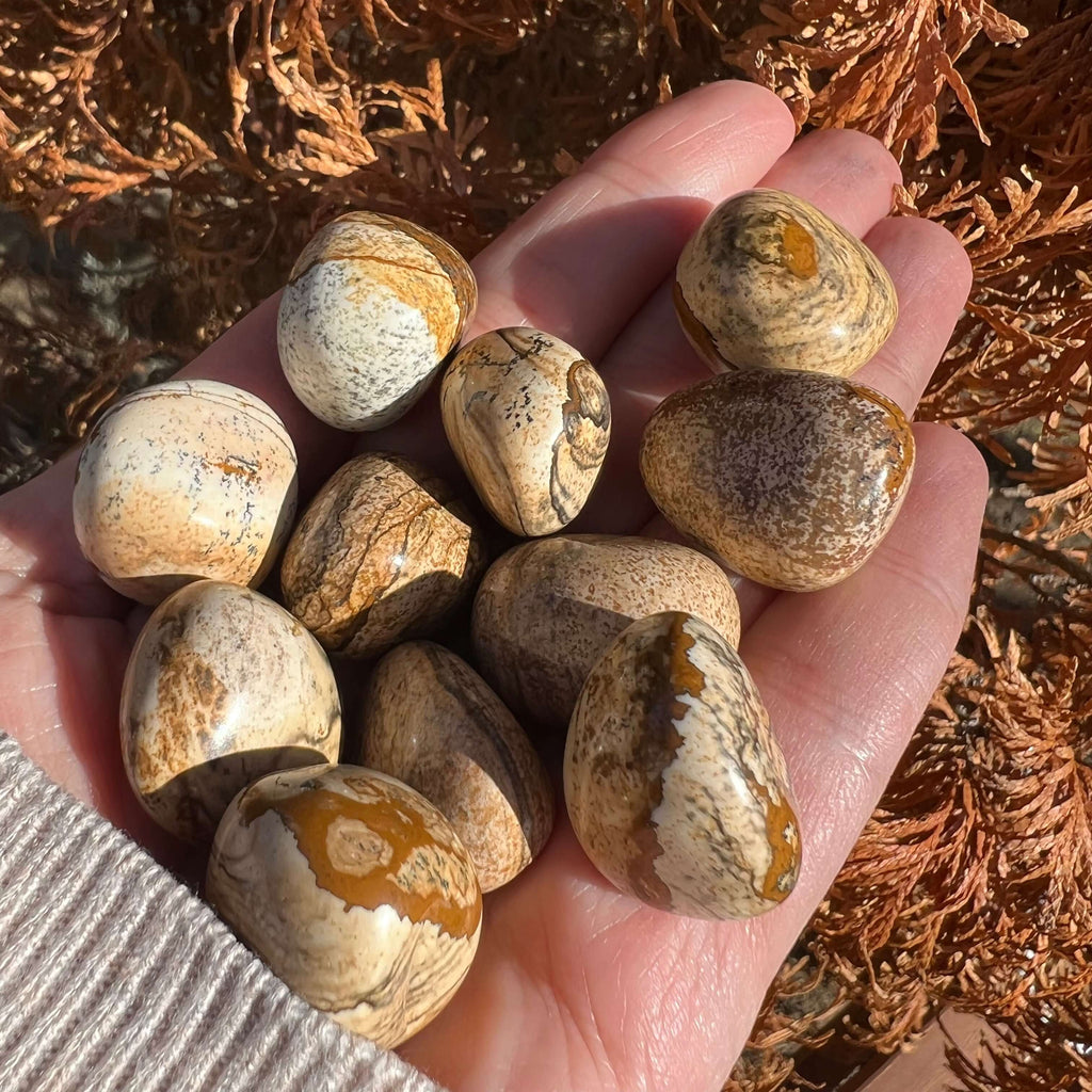 Landscape Jasper piatra rulata mini, druzy.ro, cristale 4