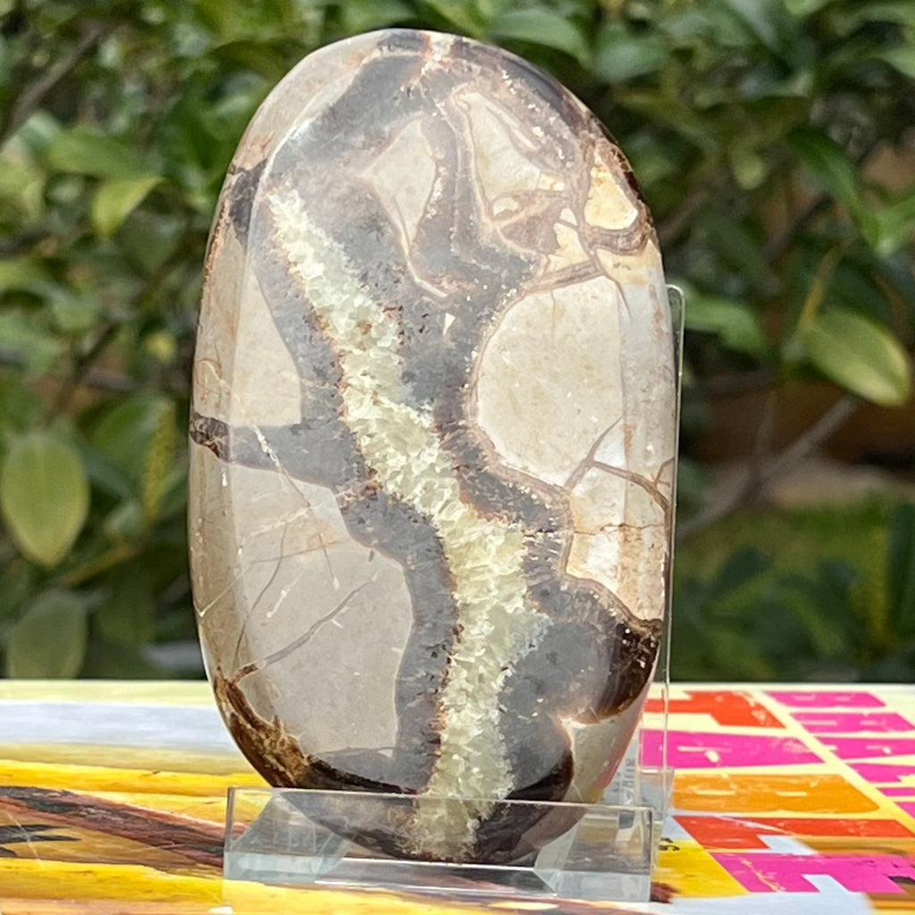 Felie septaria m10, druzy.ro, cristale 1