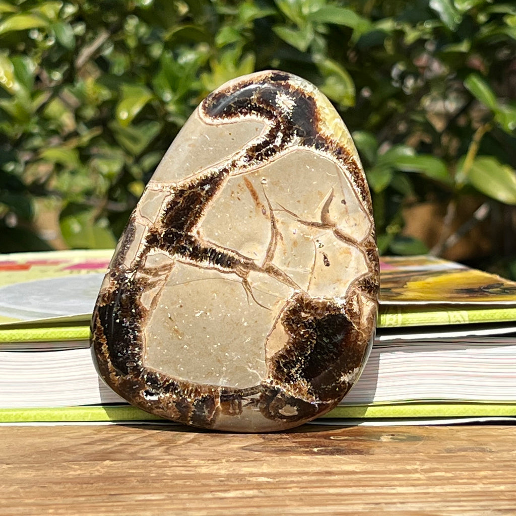 Felie septaria m7, druzy.ro, cristale 2