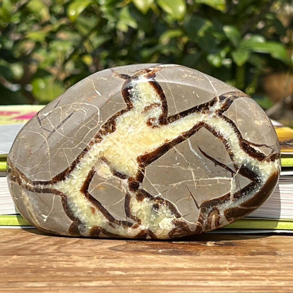 Felie septaria m9, druzy.ro, cristale 1