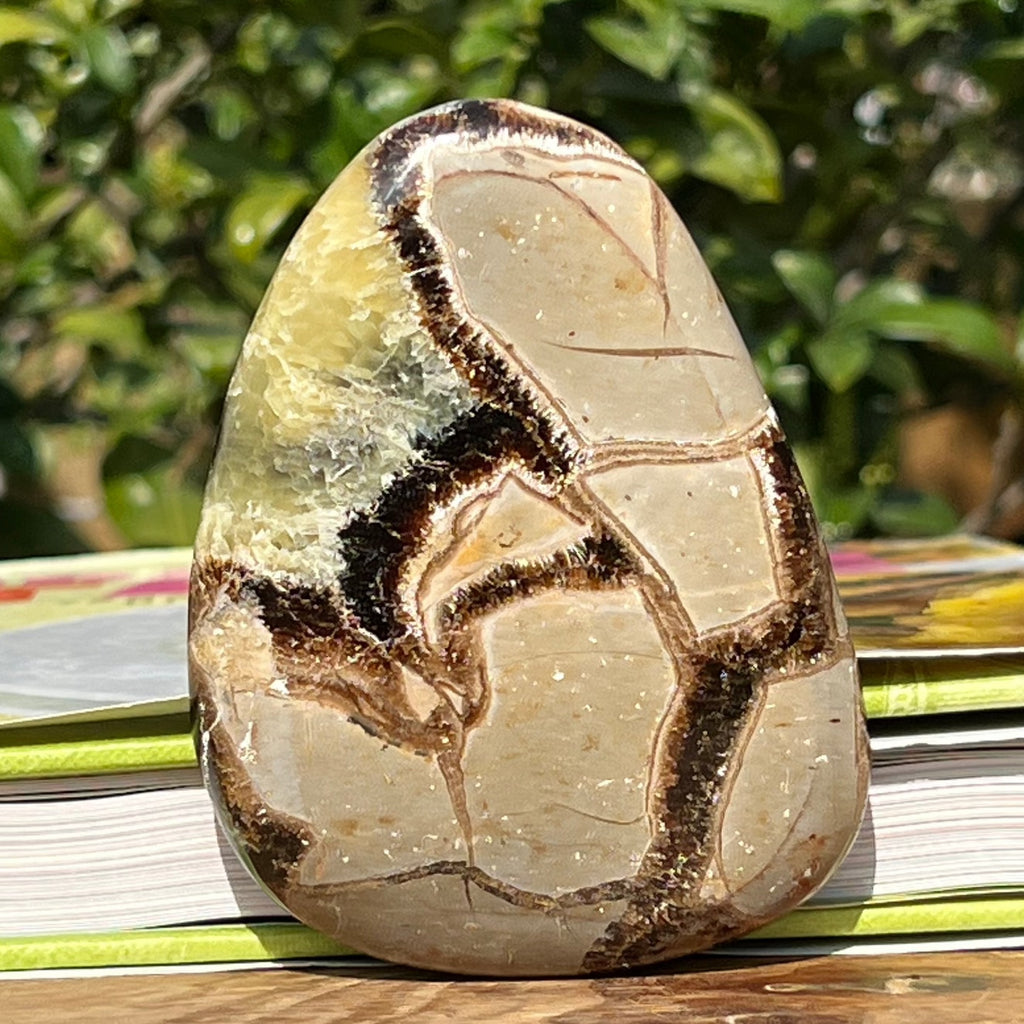 Felie septaria m7, druzy.ro, cristale 1