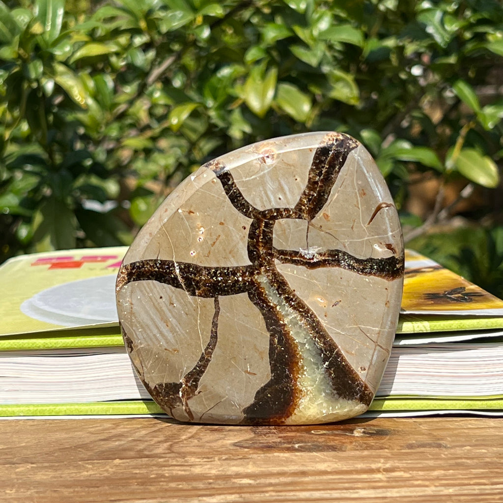 Felie septaria m6, druzy.ro, cristale 2