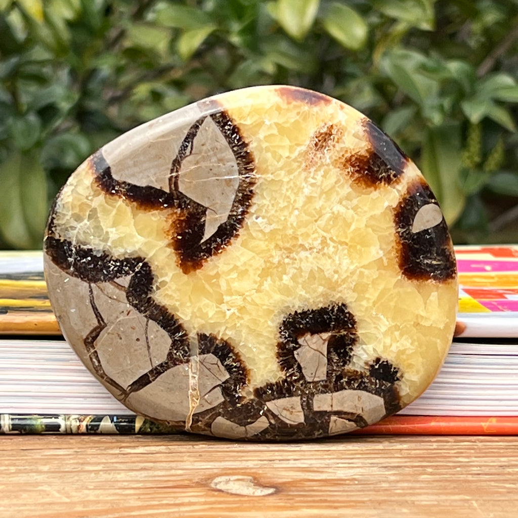 Felie septaria m12, druzy.ro, cristale 1
