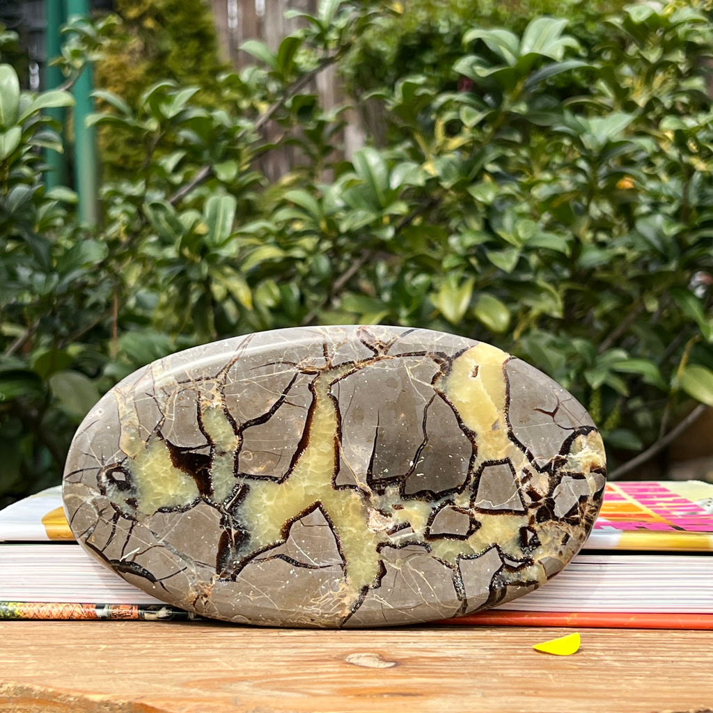Felie septaria XL m3, druzy.ro, cristale 3